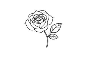 Rose flower for design element and coloring book pages for kids vector
