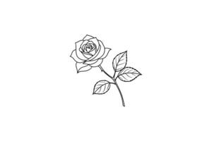 Rose flower for design element and coloring book pages for kids vector