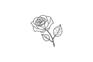 Rose flower for design element and coloring book pages for kids vector