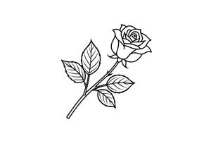 Rose flower for design element and coloring book pages for kids vector