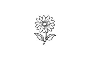 Rose flower for design element and coloring book pages for kids vector