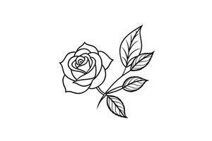 Rose flower for design element and coloring book pages for kids vector