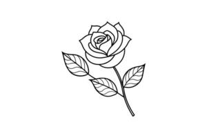 Rose flower for design element and coloring book pages for kids vector