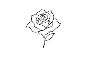 Rose flower for design element and coloring book pages for kids vector