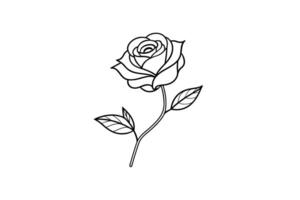 Rose flower for design element and coloring book pages for kids vector