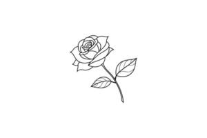 Rose flower for design element and coloring book pages for kids vector
