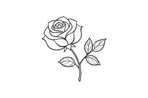 Rose flower for design element and coloring book pages for kids vector