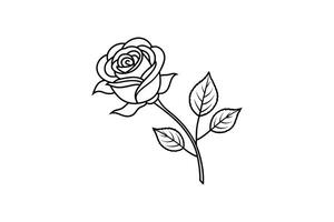 Rose flower for design element and coloring book pages for kids vector