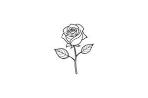 Rose flower for design element and coloring book pages for kids vector