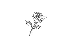Rose flower for design element and coloring book pages for kids vector