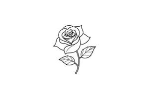 Rose flower for design element and coloring book pages for kids vector