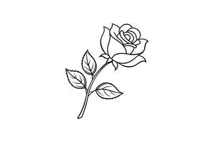 Rose flower for design element and coloring book pages for kids vector