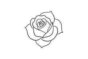 Rose flower for design element and coloring book pages for kids vector