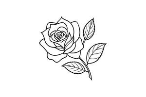 Rose flower for design element and coloring book pages for kids vector
