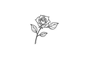 Rose flower for design element and coloring book pages for kids vector