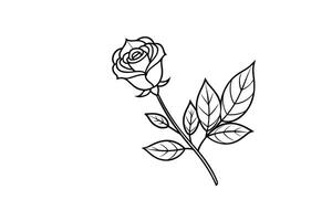 Rose flower for design element and coloring book pages for kids vector