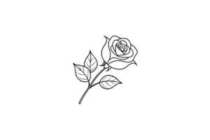 Rose flower for design element and coloring book pages for kids vector