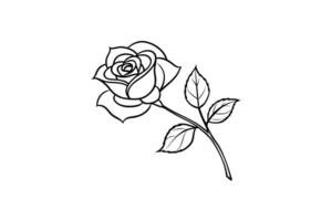 Rose flower for design element and coloring book pages for kids vector