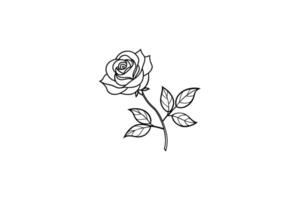 Rose flower for design element and coloring book pages for kids vector