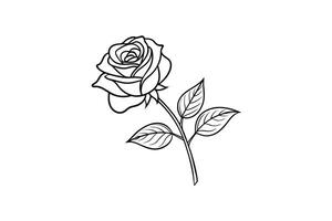 Rose flower for design element and coloring book pages for kids vector