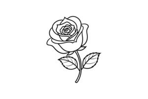 Rose flower for design element and coloring book pages for kids vector