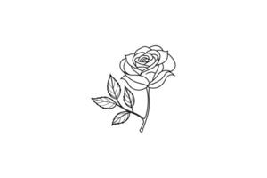 Rose flower for design element and coloring book pages for kids vector