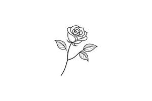 Rose flower for design element and coloring book pages for kids vector