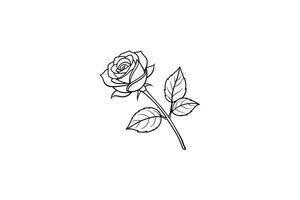 Rose flower for design element and coloring book pages for kids vector