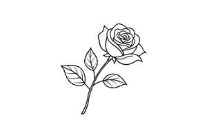 Rose flower for design element and coloring book pages for kids vector