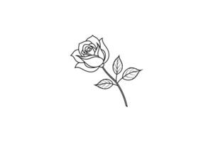 Rose flower for design element and coloring book pages for kids vector