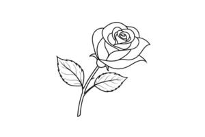 Rose flower for design element and coloring book pages for kids vector