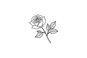 Rose flower for design element and coloring book pages for kids vector