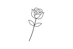 Rose flower for design element and coloring book pages for kids vector