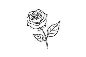 Rose flower for design element and coloring book pages for kids vector