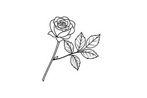 Rose flower for design element and coloring book pages for kids vector