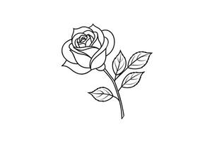 Rose flower for design element and coloring book pages for kids vector