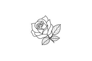 Rose flower for design element and coloring book pages for kids vector