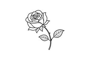 Rose flower for design element and coloring book pages for kids vector