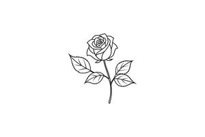 Rose flower for design element and coloring book pages for kids vector