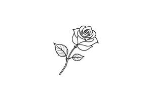 Rose flower for design element and coloring book pages for kids vector