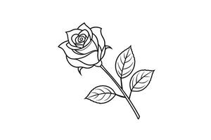 Rose flower for design element and coloring book pages for kids vector