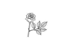 Rose flower for design element and coloring book pages for kids vector