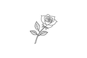 Rose flower for design element and coloring book pages for kids vector