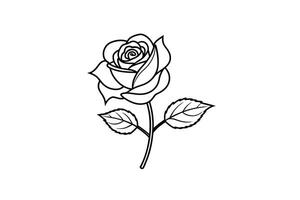 Rose flower for design element and coloring book pages for kids vector
