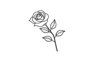 Rose flower for design element and coloring book pages for kids vector