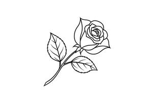 Rose flower for design element and coloring book pages for kids vector