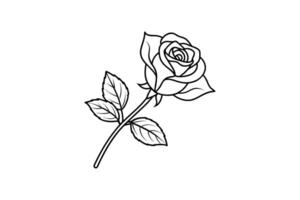 Rose flower for design element and coloring book pages for kids vector