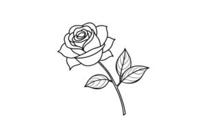 Rose flower for design element and coloring book pages for kids vector