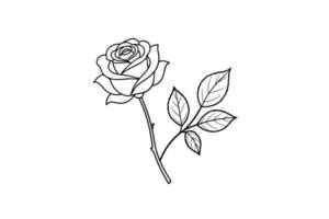 Rose flower for design element and coloring book pages for kids vector
