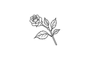 Rose flower for design element and coloring book pages for kids vector